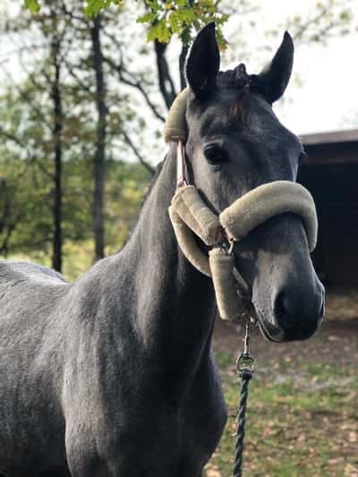 Inlägg 159 av Allround