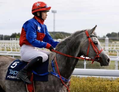 Inlägg 16 av Fälttävlan med titeln Ponnygalopp 