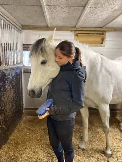 Inlägg 23 av Arabiskt Fullblod med titeln 💙Chani💙