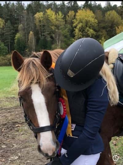 Post 241 of Show jumping with title Lagtävling och individuell placering