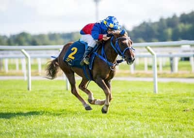 Inlägg 17 av Korsningsponny med titeln Ponnygalopp