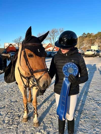 Post 477 of Show jumping