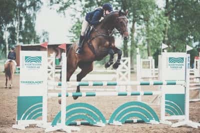 Inlägg 74 av Allround