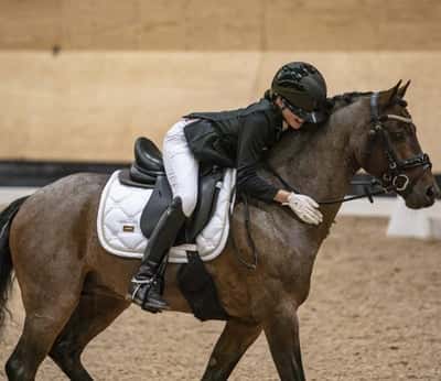 Inlägg 37 av Dressyr med titeln Påväg mot NM i Finland 🇫🇮 