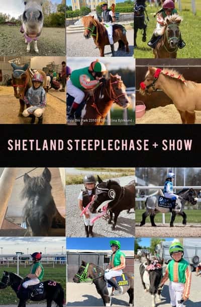 Inlägg 97 av Galopp med titeln Äntligen!!!❤️🏇🏼🤩