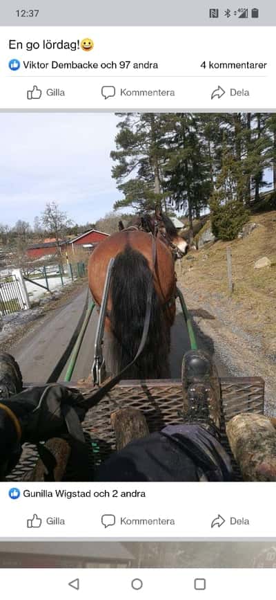 Inlägg 4 av Sportkörning