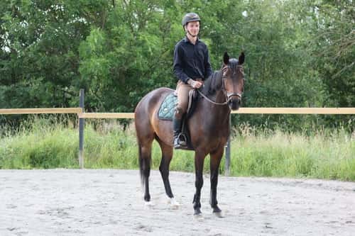 Bild av Häst med stor karaktär men med mycket potential