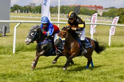 Inlägg 1 av Galopp med titeln Ponnygalopp 