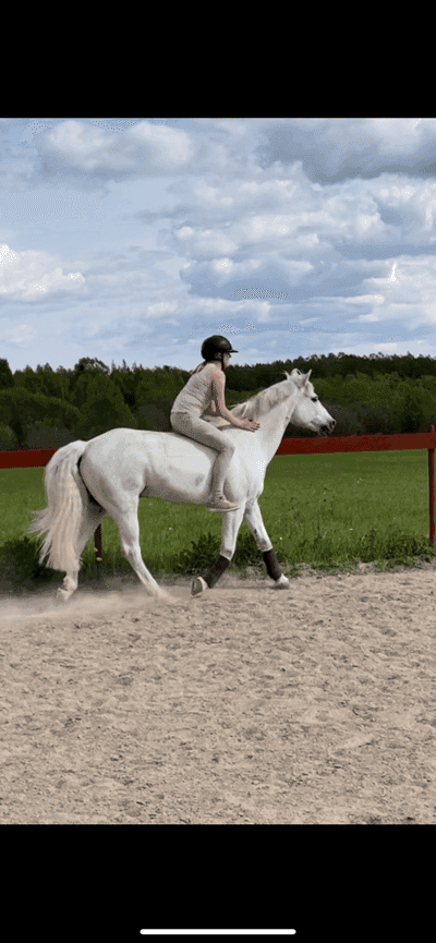 Inlägg 12 av Allround