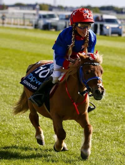 Inlägg 24 av Ridtrav med titeln Ponnygalopp 