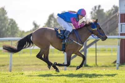 Inlägg 25 av Galopp med titeln Första galopp tävlingen iår vi vann❤️🥇✨