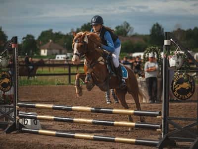 Inlägg 19 av Unghäst med titeln Hopptävling 