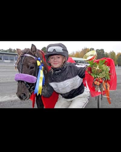 Inlägg 123 av Ponnytrav