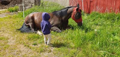 Inlägg 1 av Reining med titeln Mys i hagen 🌾🌱☘️