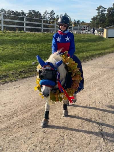 Post 59 of Show jumping with title Visby