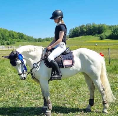 Post 195 of Show jumping with title Uddevalla ryttarförening💙⚡️