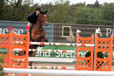 Inlägg 3 av Danskt varmblod med titeln 👌