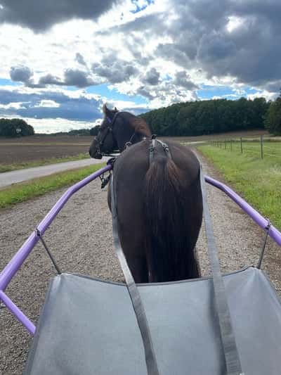 Inlägg 15 av Sportkörning med titeln Jogging på schemat idag💙