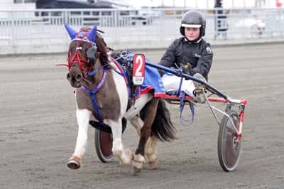 Inlägg 40 av Ponnytrav med titeln Ponnytrav 