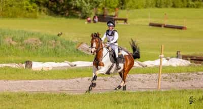 Inlägg 19 av Fälttävlan