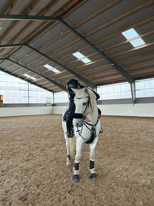 Bild av Maxad D ponny tillsalu