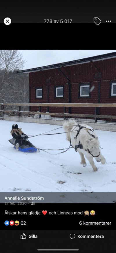 Inlägg 8 av Allround med titeln Bus på banan 