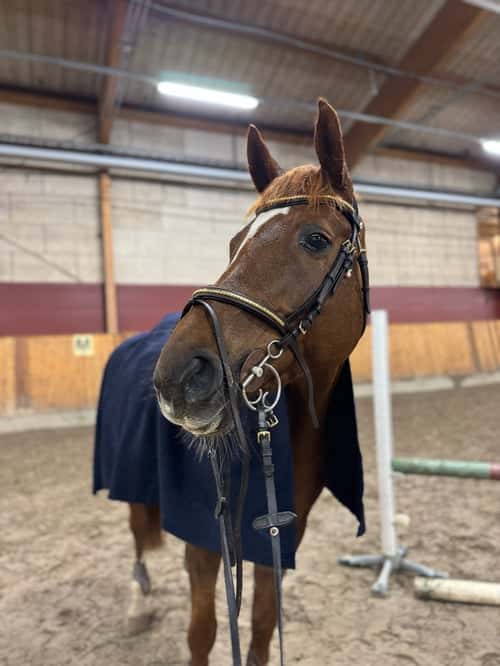 Bild av Dundersnällt och fint swb sto 