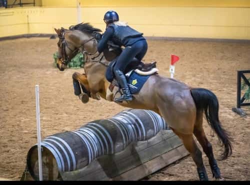 Bild av Swb sto f 15