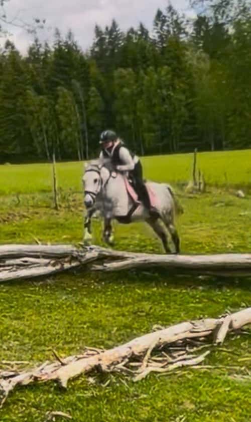 Bild av Maxad D-ponny