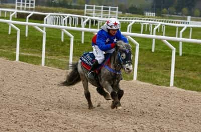 Inlägg 10 av Ponnygalopp med titeln Ponnygalopp 