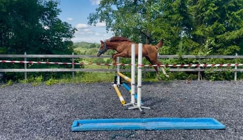 Bild av Joinville e. Janeiro de Bieville f.2024 hopp/fälttävlan