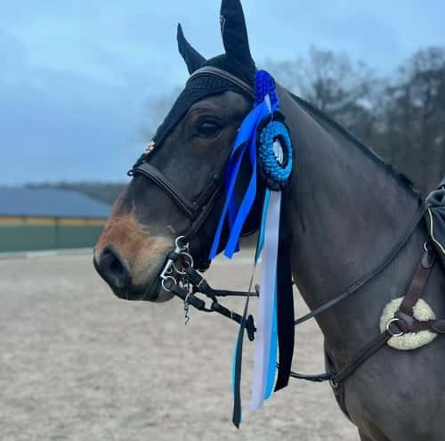 Bild av Okomplicerad D-ponny