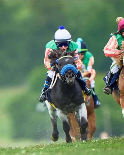 Inlägg 9 av Galopp med titeln 230530