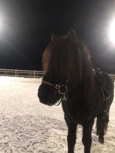 Inlägg 44 av Island med titeln Tack 2023