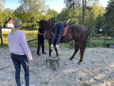 Post 7 of Halfblood with title Salley