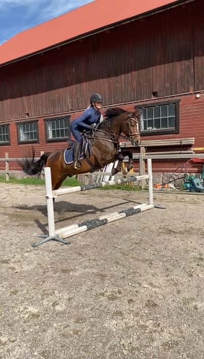 Inlägg 115 av Allround med titeln Skutt med snabbmakaronen 🥰