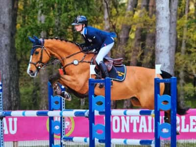 Inlägg 34 av Allround