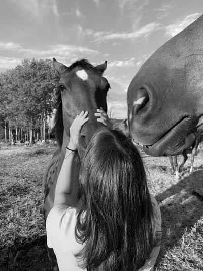 Inlägg 132 av Allround