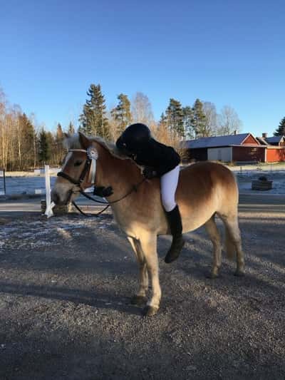 Inlägg 114 av Allround