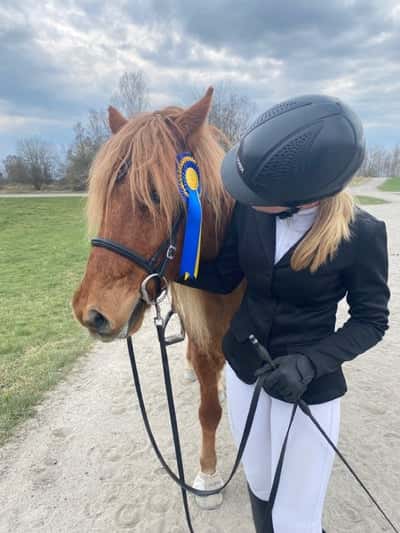 Inlägg 22 av Island