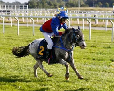 Inlägg 19 av Korsningsponny med titeln Ponnygalopp