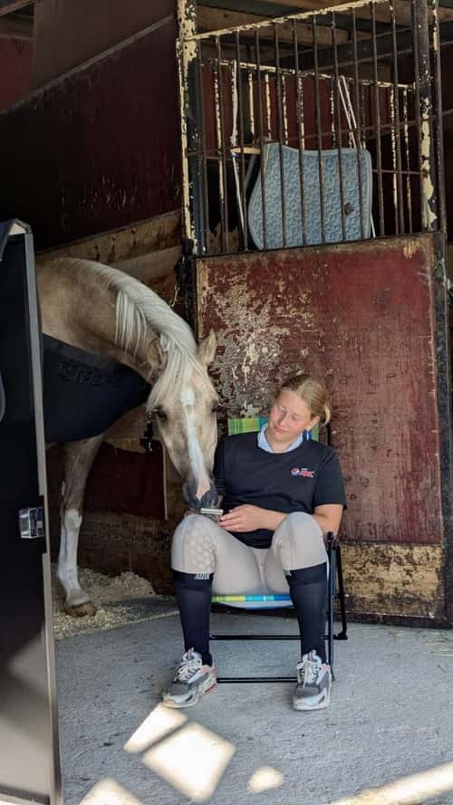 Bild av Läromästare söker sin nya bästa vän