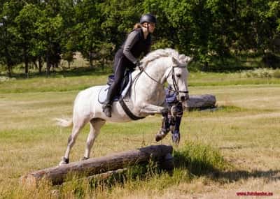 Inlägg 29 av Fälttävlan