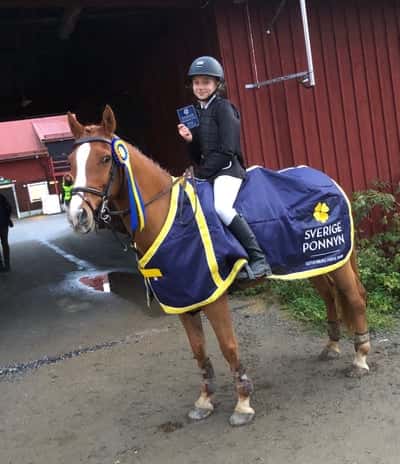 Post 419 of Show jumping with title Sverige ponnyn!🤩