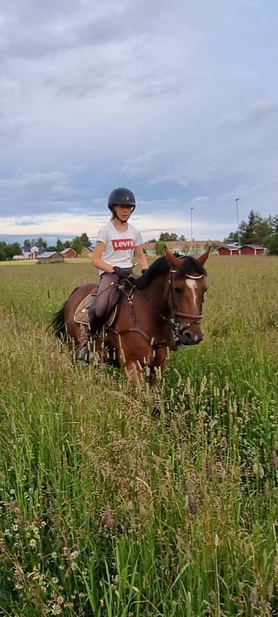 Inlägg 115 av Allround med titeln Quick Nikk 