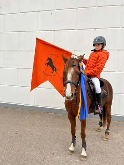 Post 5 of Show jumping with title Allsvenskan omgång 3