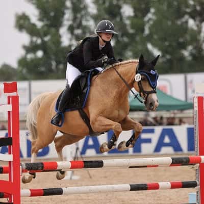 NannerUpGaards Castor