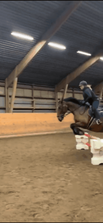 Inlägg 1 av Kallblod med titeln Hoppträning för Camilla 😍🤩