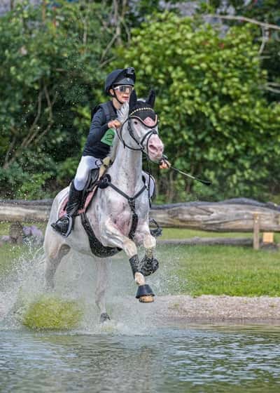 Inlägg 23 av Fälttävlan