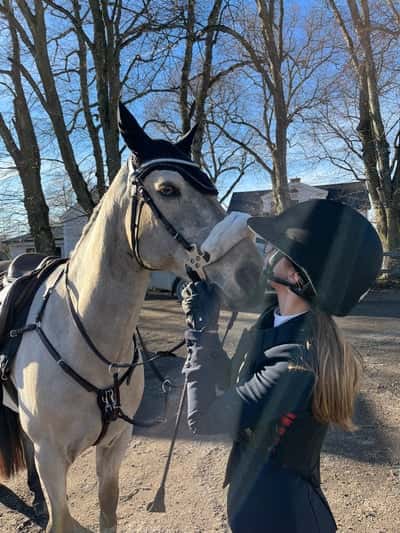 Inlägg 15 av Allround